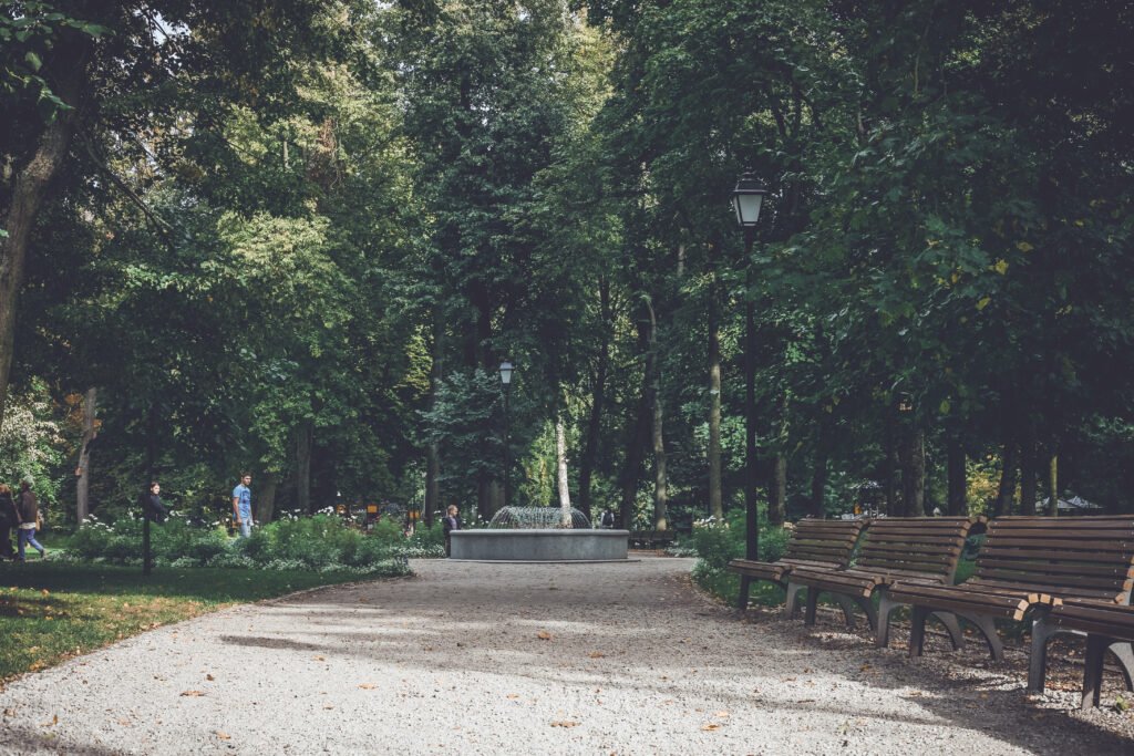 Bernardinų parkas vestuvės