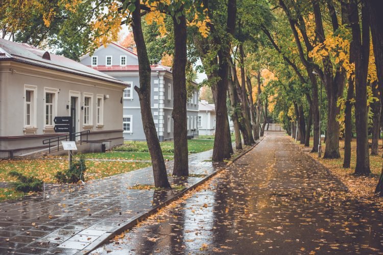 Sapiegų parkas vestuvės